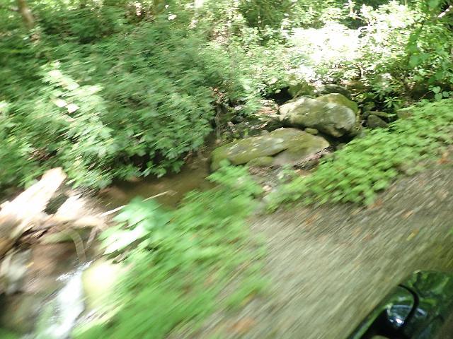 P6190345.JPG