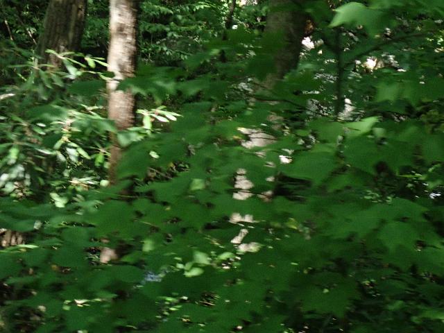 P6190349.JPG