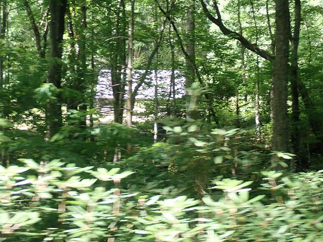 P6190350.JPG