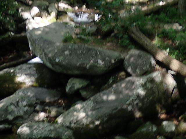 P6190351.JPG