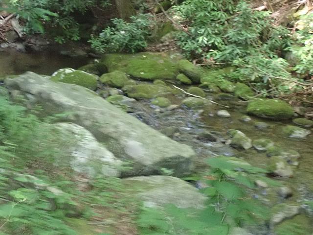 P6190357.JPG