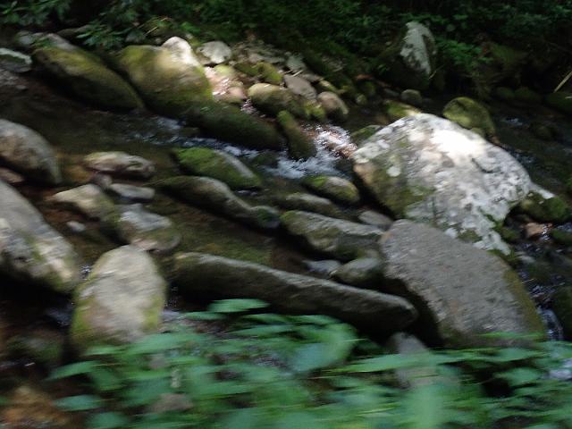 P6190358.JPG