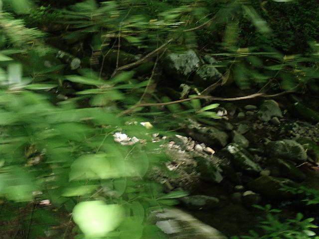 P6190359.JPG