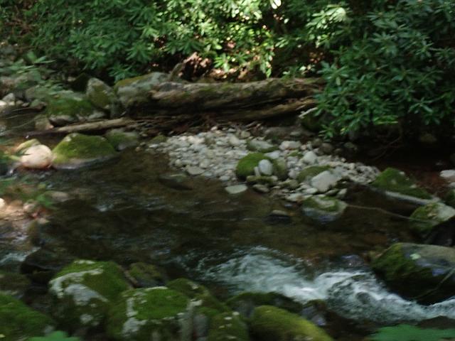 P6190360.JPG
