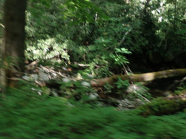 P6190362.JPG