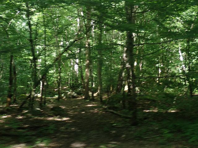 P6190368.JPG