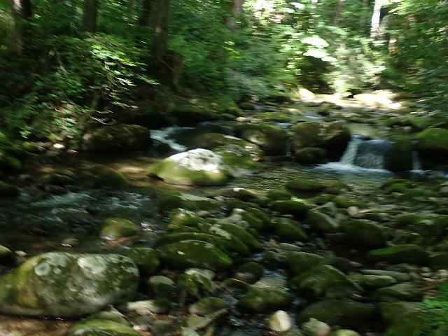 P6190369.JPG