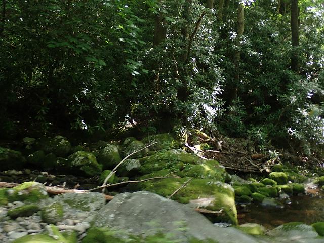 P6190371.JPG