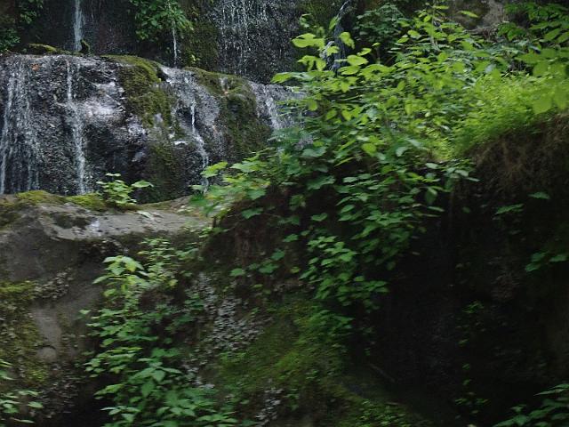 P6190374.JPG