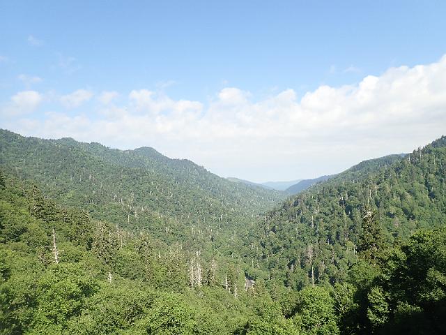 P6220442.JPG