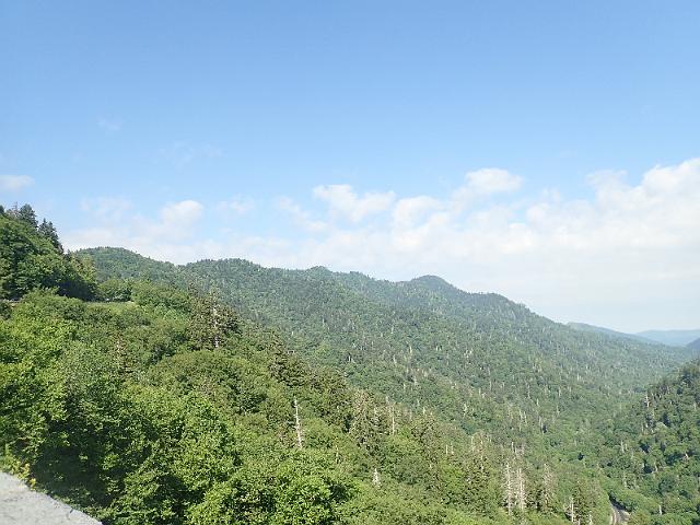 P6220444.JPG