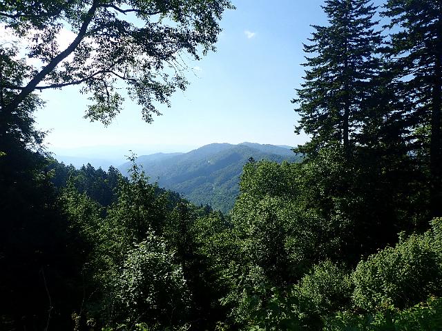 P6220448.JPG