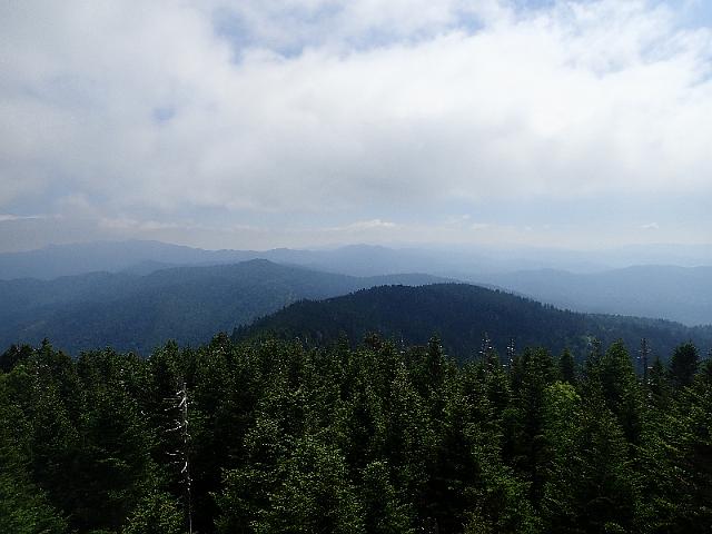 P6220457.JPG