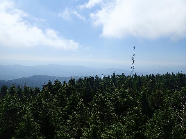 P6220458.JPG