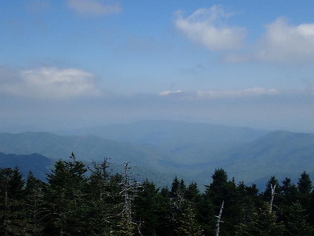 P6220460.JPG