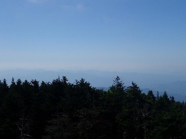 P6220461.JPG