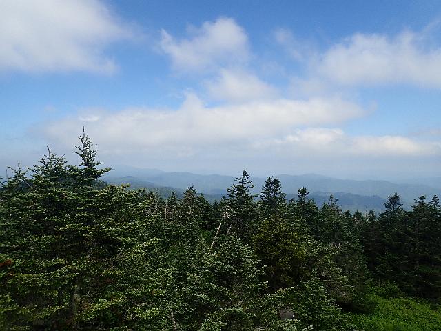 P6220465.JPG