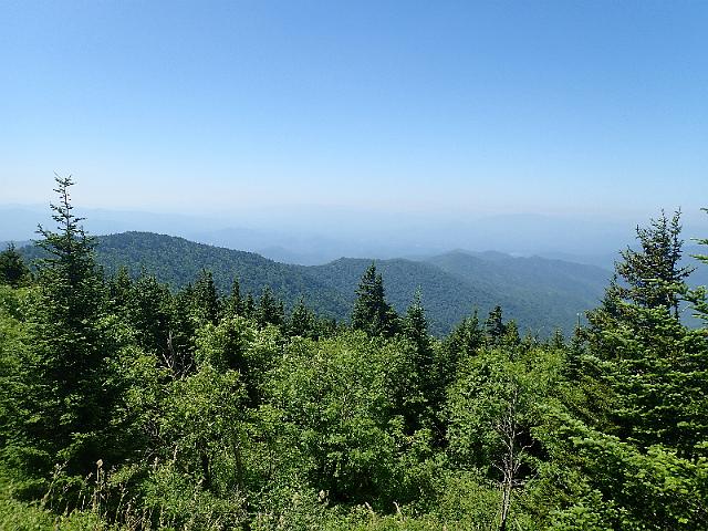P6220472.JPG