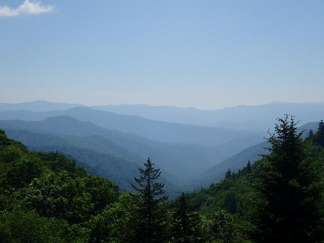 P6220473.JPG