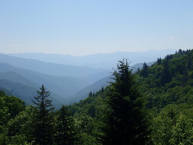 P6220474.JPG