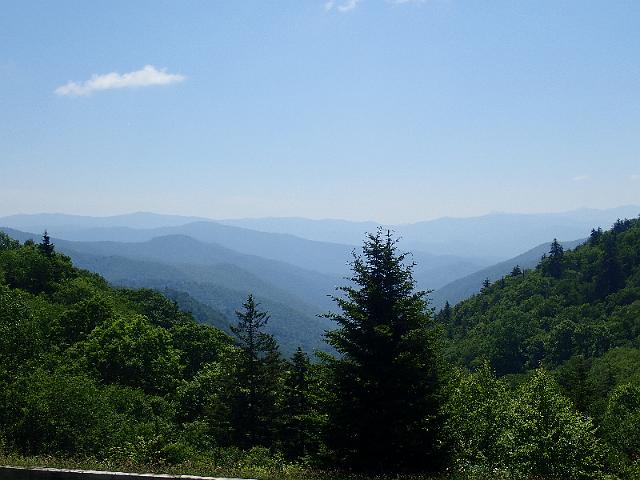 P6220475.JPG