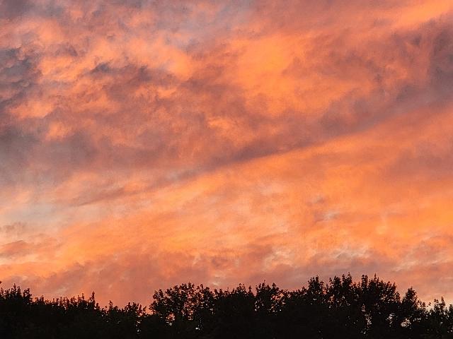 20220707_210847.jpg