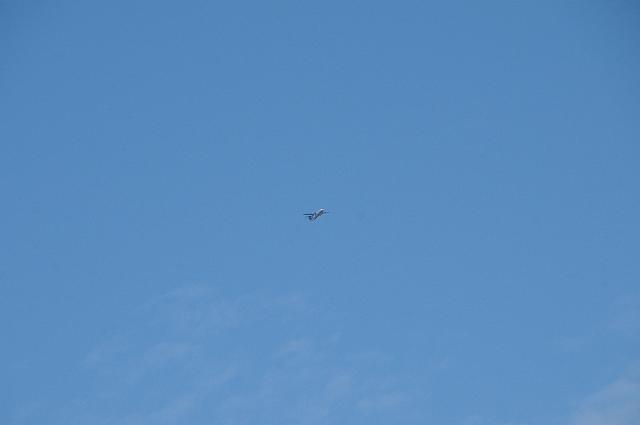 DSC_3975.JPG