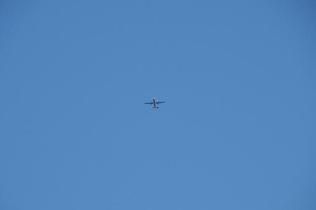 DSC_3976.JPG