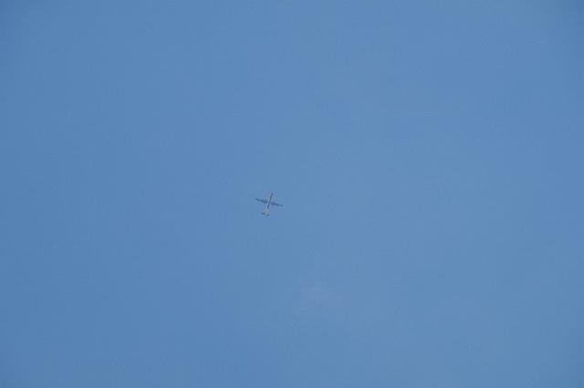 DSC_3977.JPG