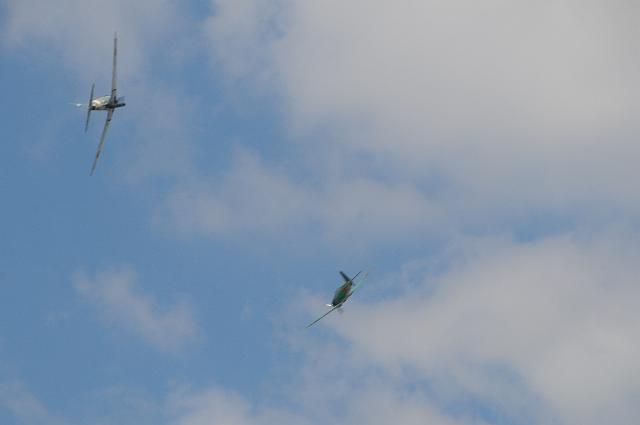 DSC_4120.JPG