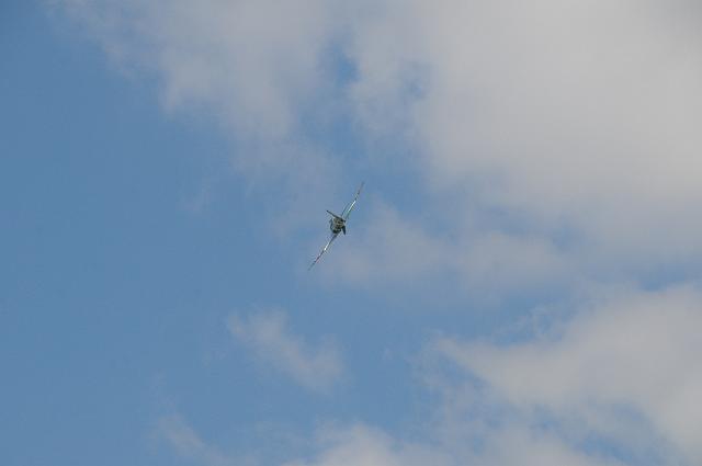 DSC_4123.JPG