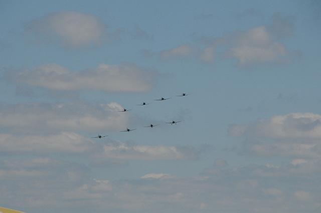 DSC_4177.JPG