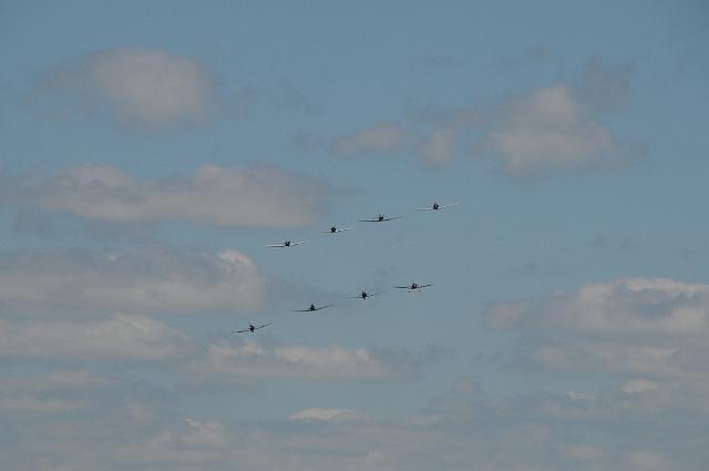 DSC_4179.JPG