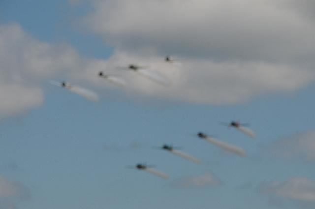 DSC_4181.JPG