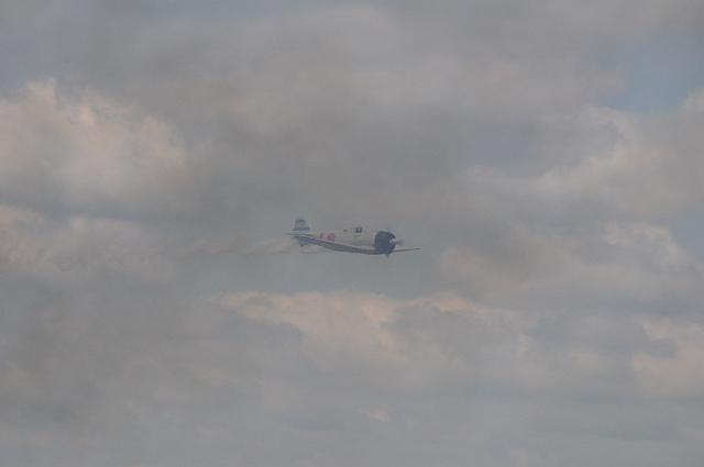 DSC_4221.JPG