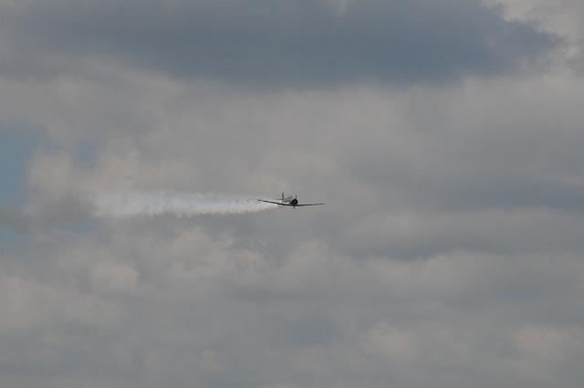 DSC_4230.JPG