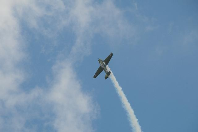 DSC_4239.JPG