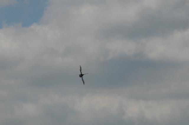 DSC_4328.JPG