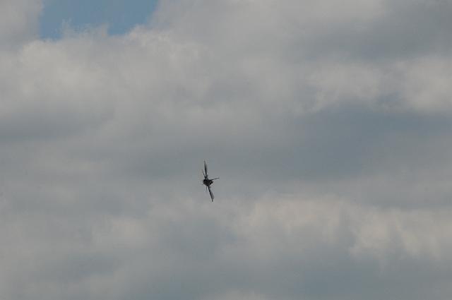 DSC_4329.JPG