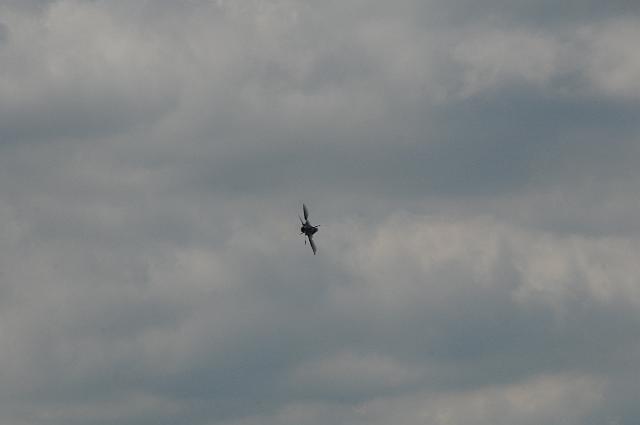 DSC_4330.JPG