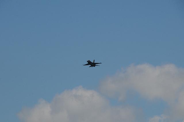 DSC_4339.JPG