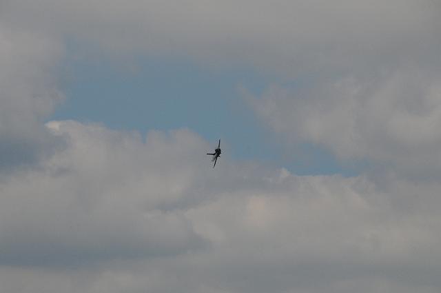 DSC_4359.JPG