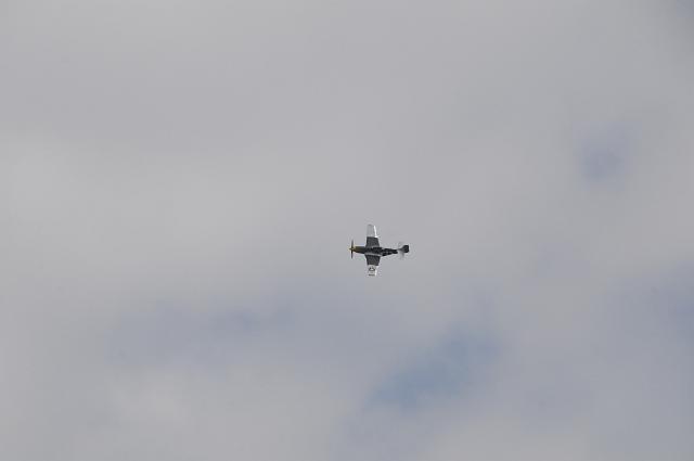 DSC_4390.JPG