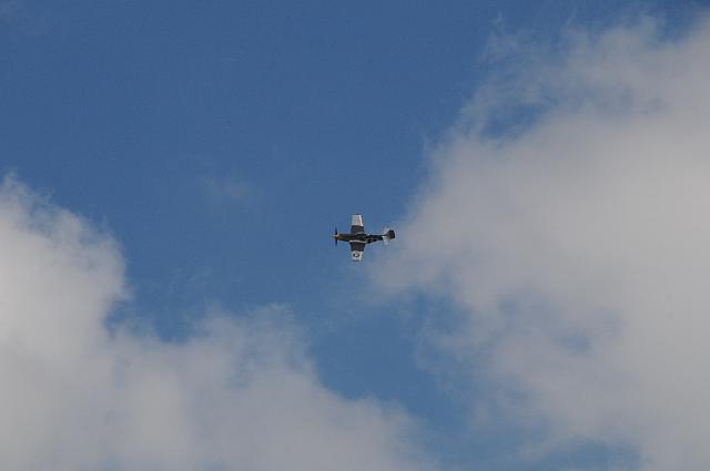 DSC_4393.JPG