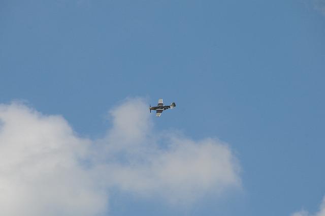 DSC_4396.JPG