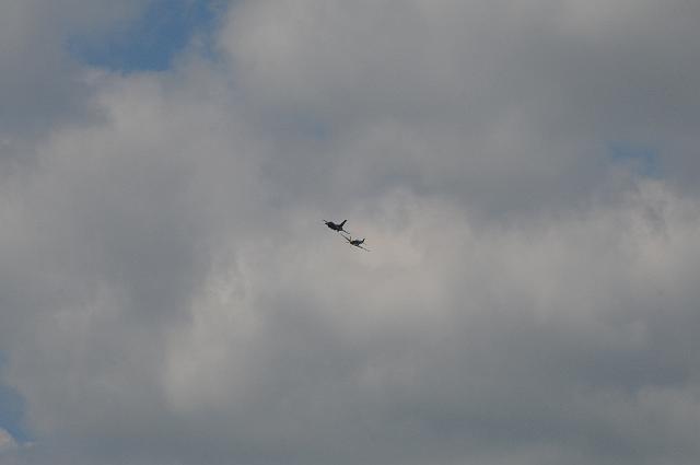 DSC_4427.JPG