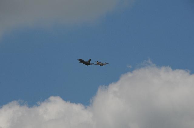 DSC_4431.JPG
