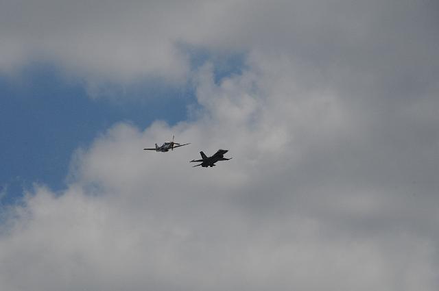DSC_4451.JPG