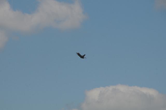 DSC_4474.JPG