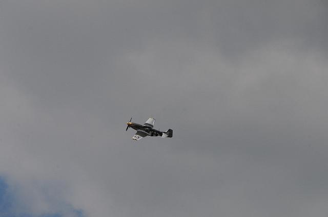 DSC_4484.JPG